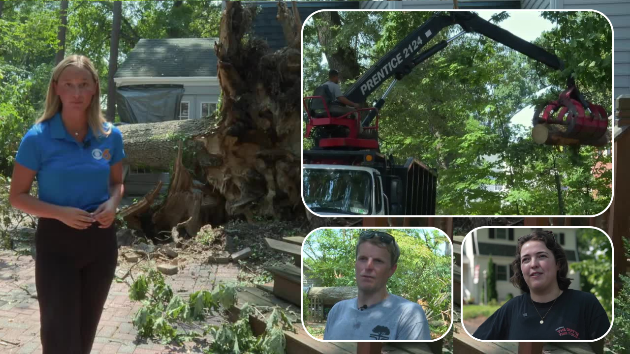 Henrico neighborhood cleans up after storm rips trees and crushes cars 