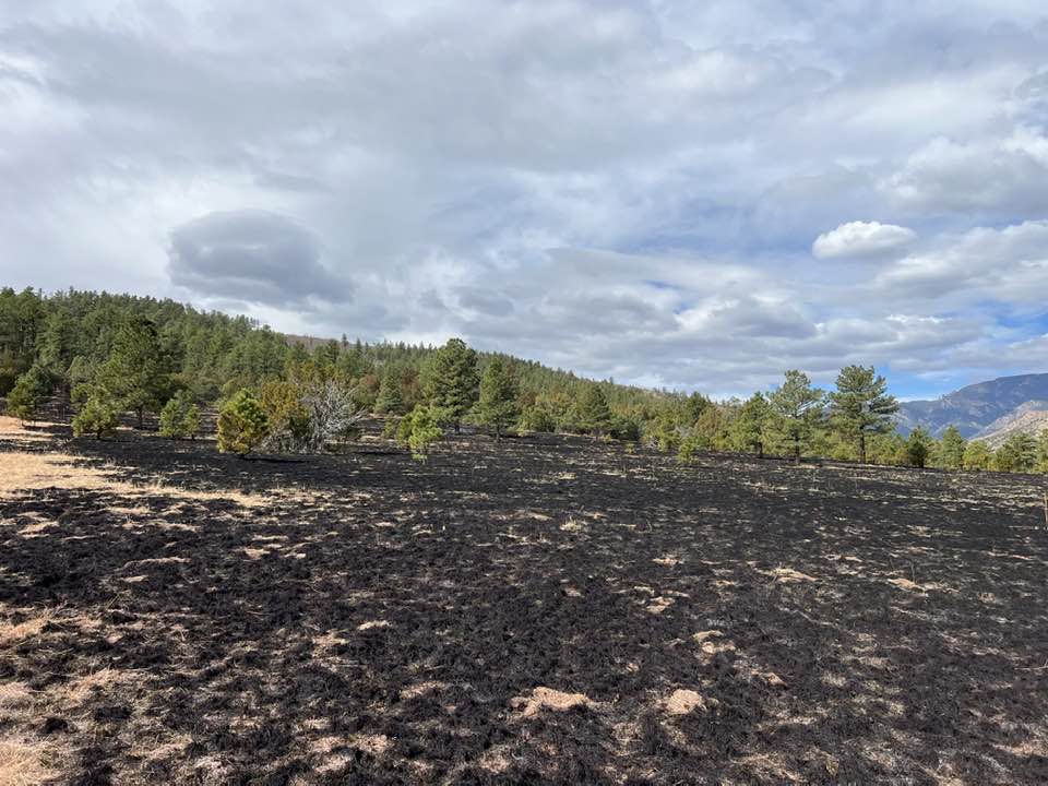 Red Creek Fire