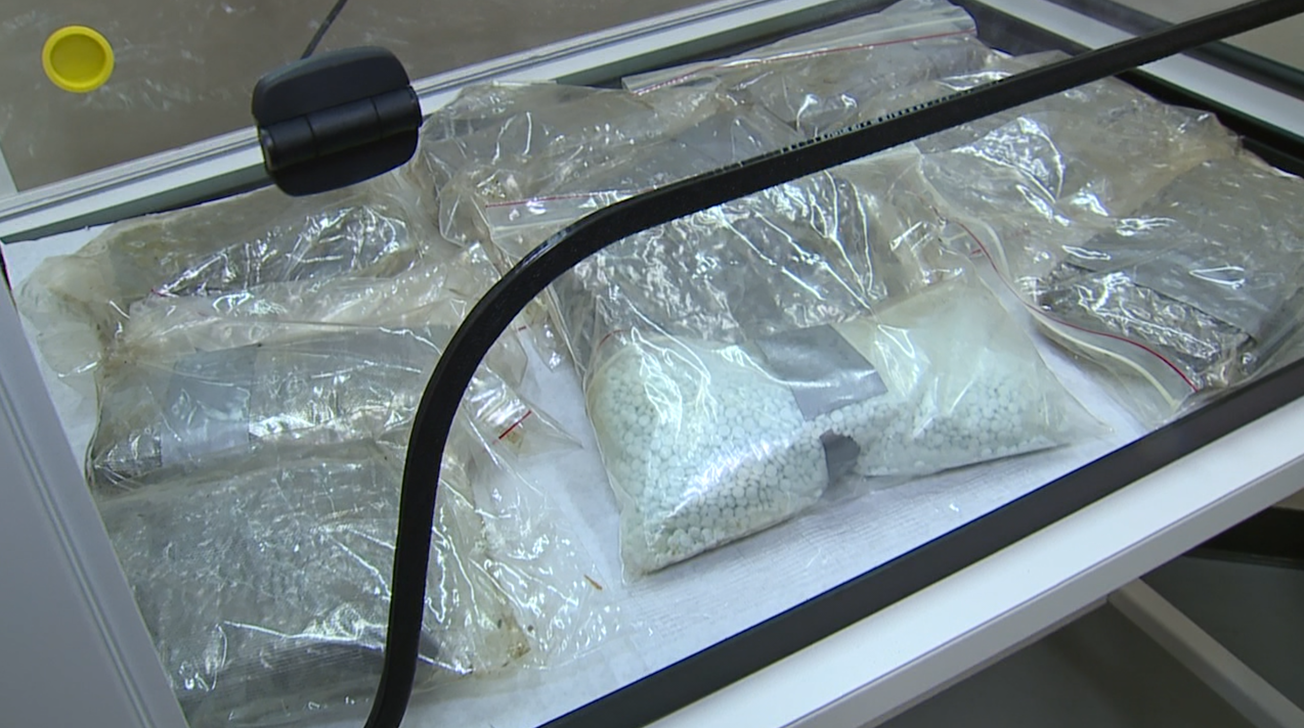 KNXV DEA Major Bust 6-12-19.png