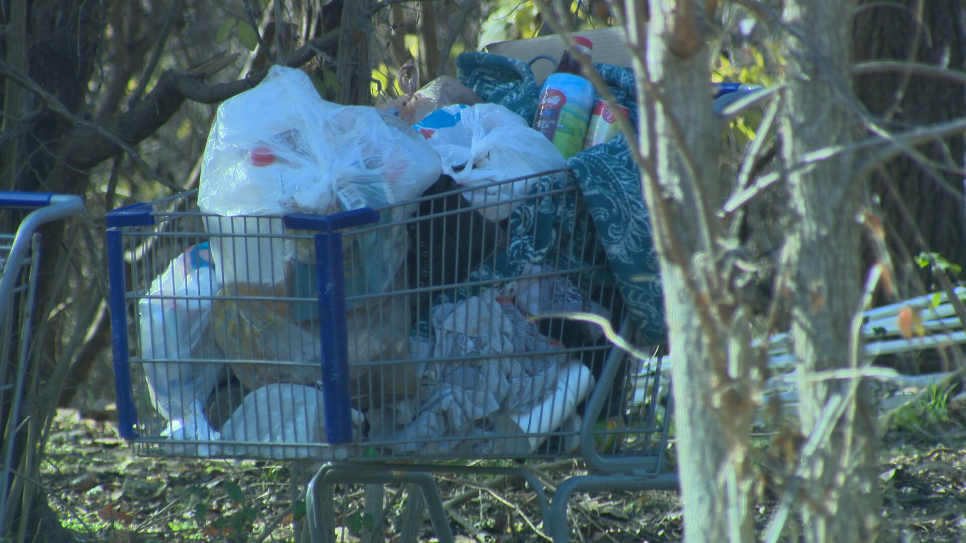 Hermitage homeless camp