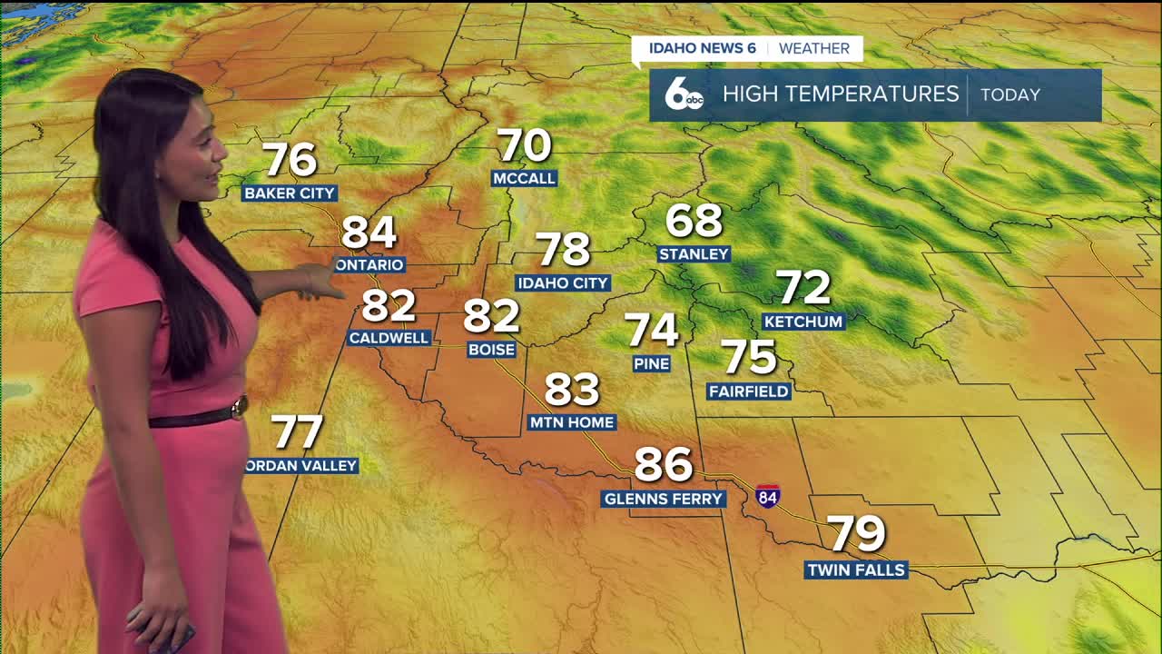 Forecast