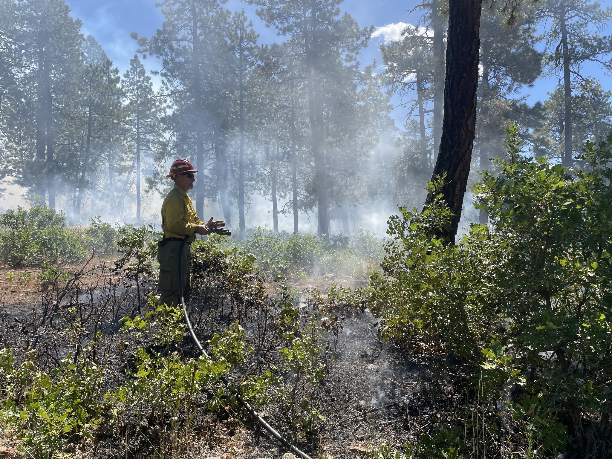 Dry Lake Fire_San Juan National Forest