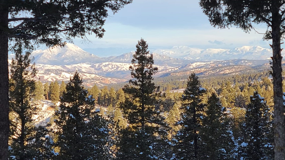 near Woodland Park Carol Case-Caldwell