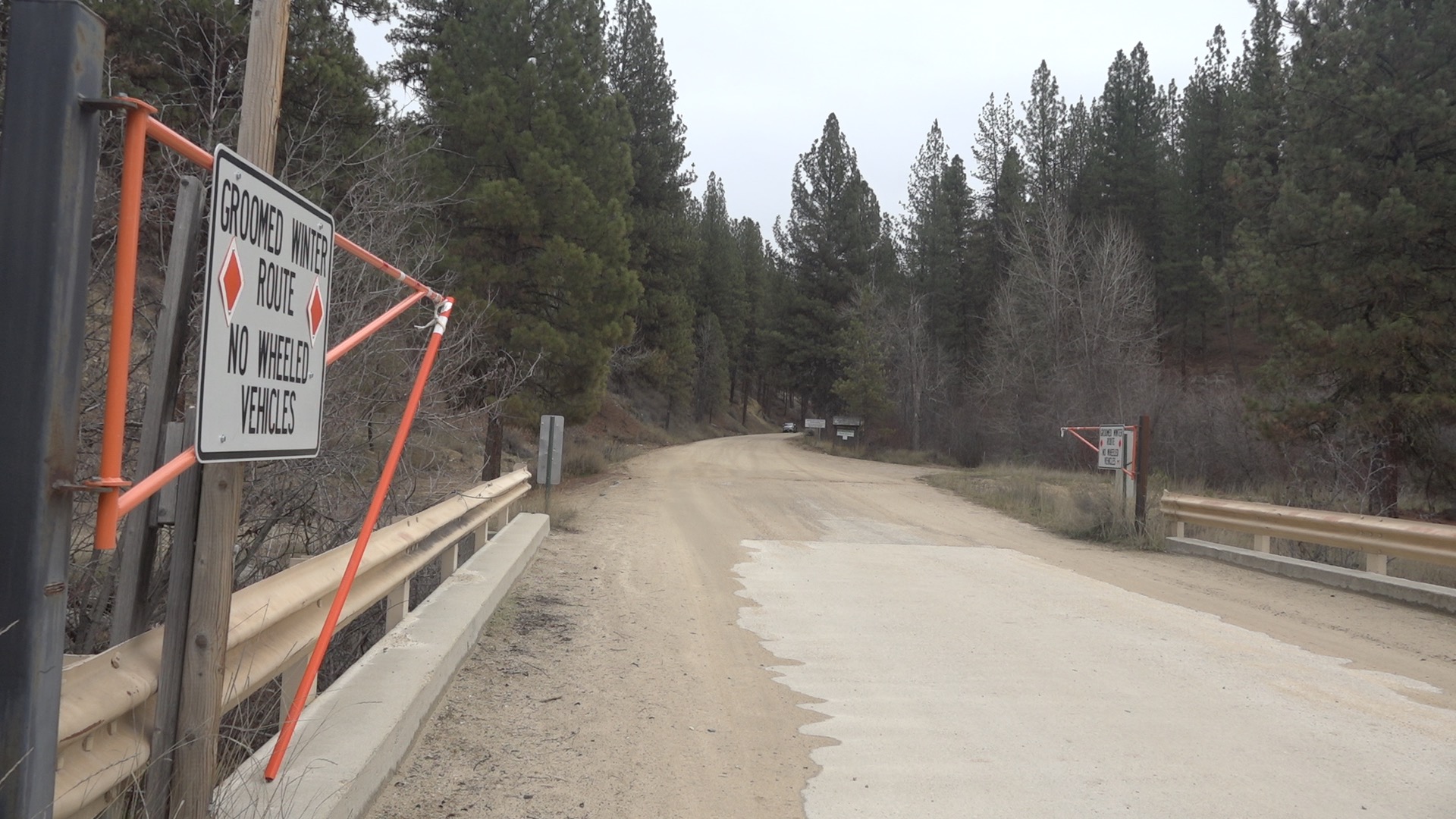 Boise National Forest Christmas Tree