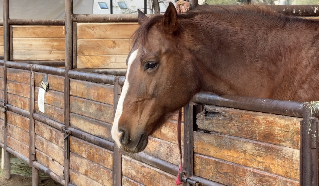 Screenshot 2026-01-05 at 4.45.35 AM.png