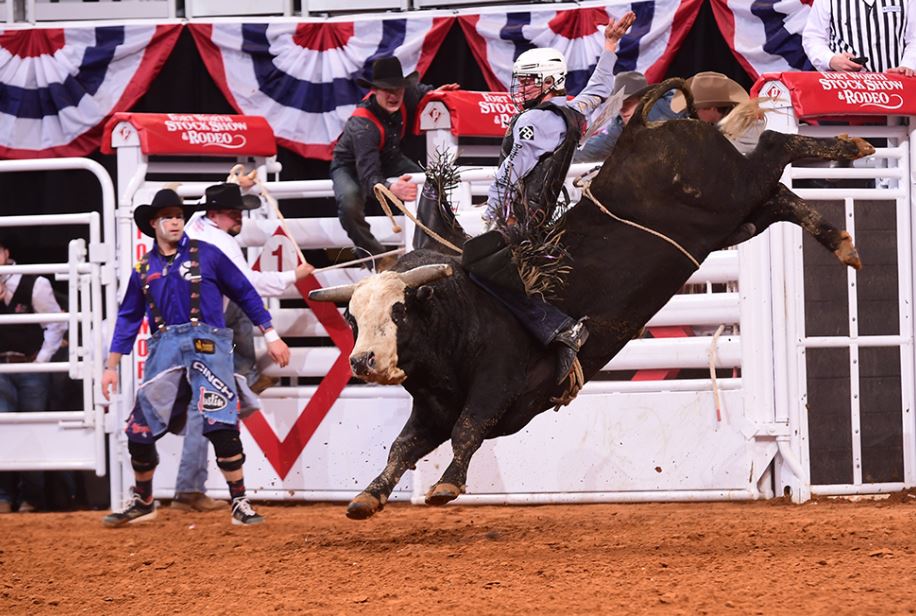 PRCA Moore Bulls.JPG