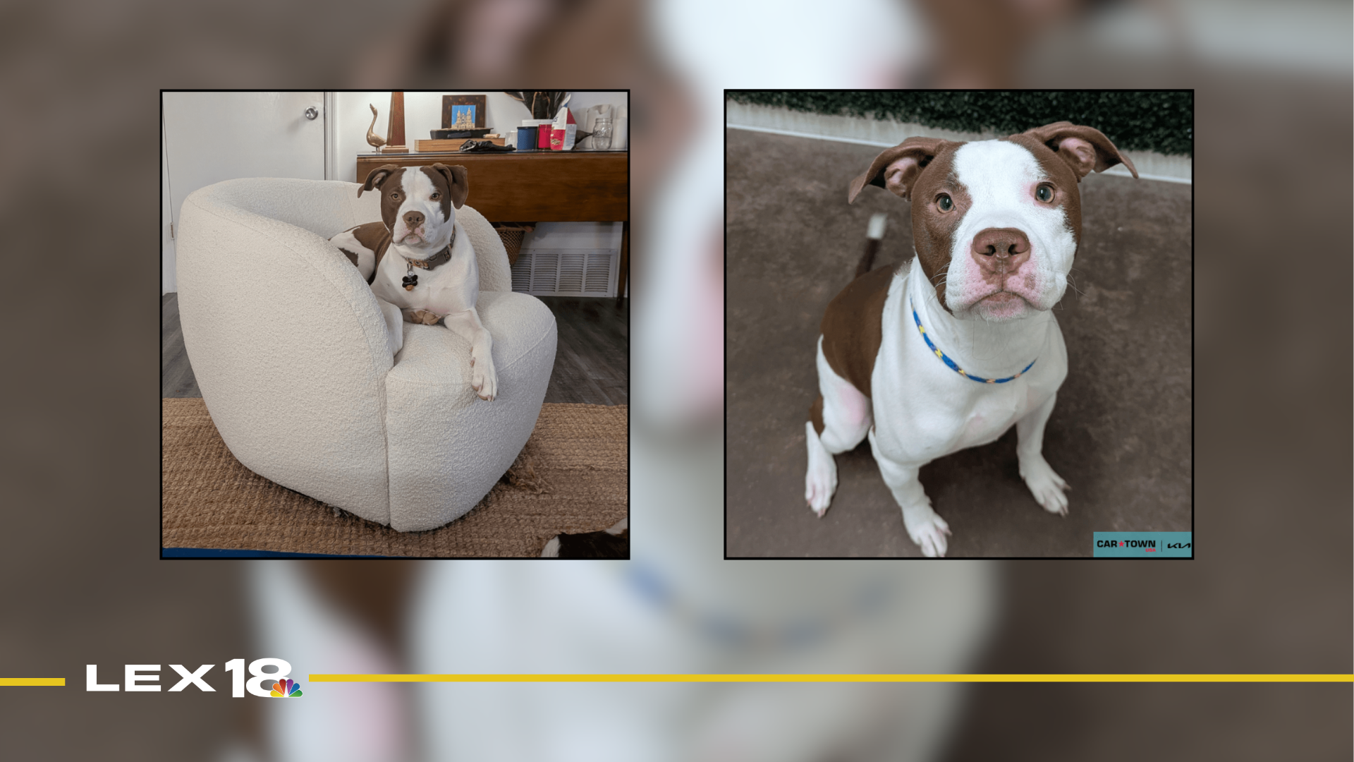 Featured Image Custom Edit - 2026-04-23T113556.872.png