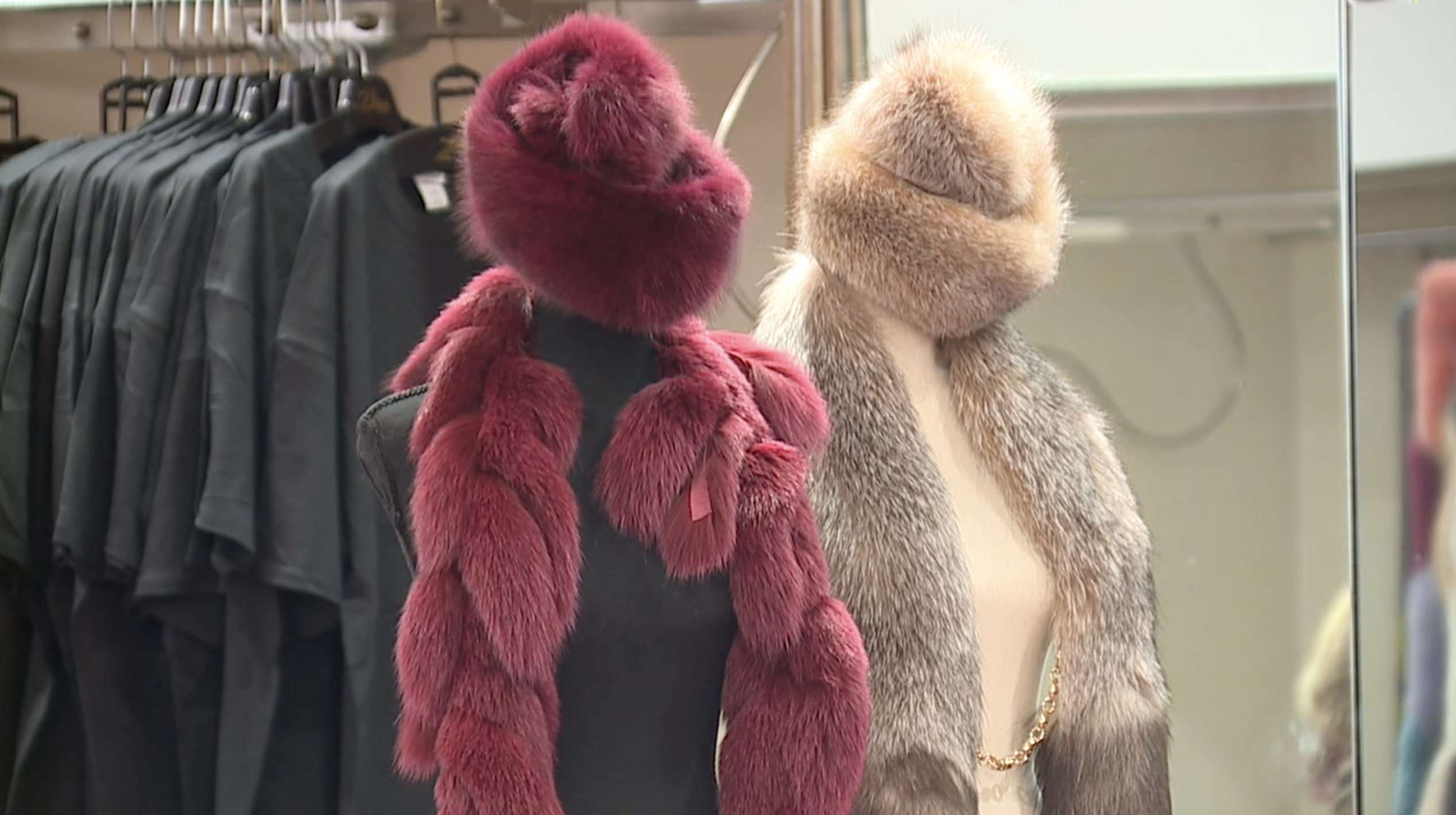 Screenshot 2026-03-03 at 11.42.52 PM.png