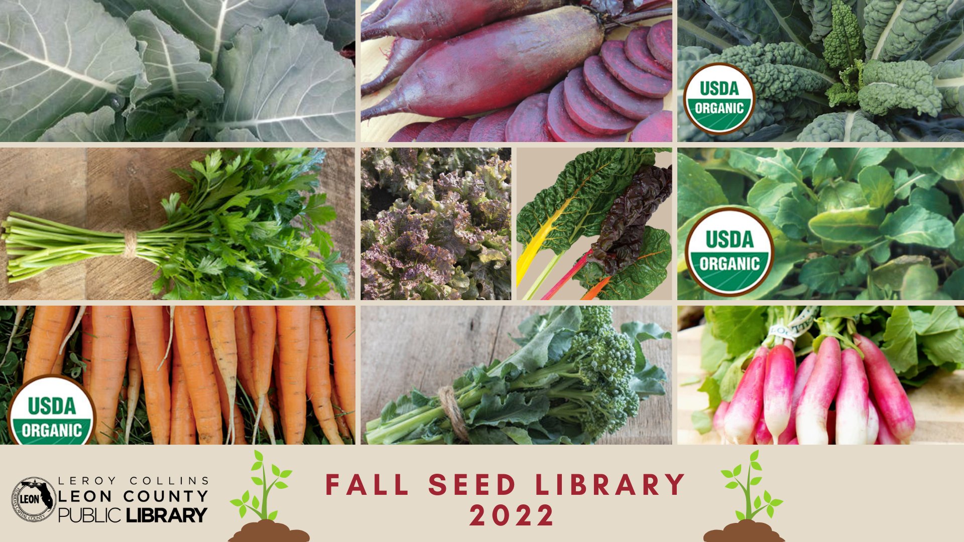 fall seed library.jpg
