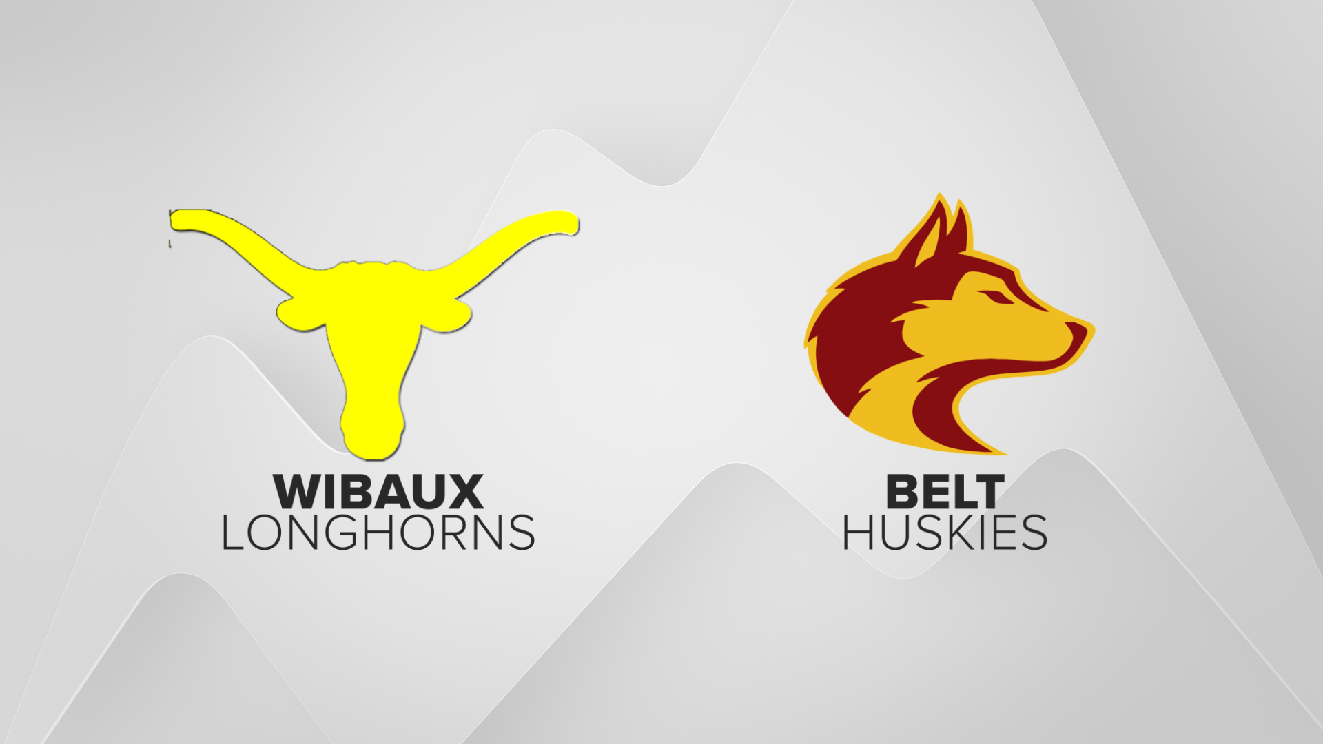 HM Sports Wibaux Belt.png