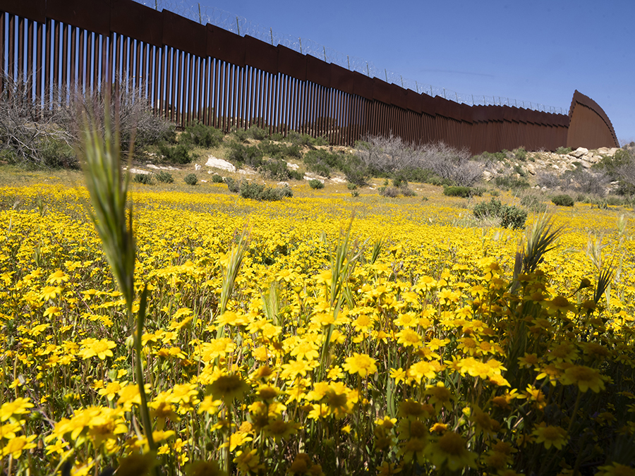 US Mexico Border Biodiversity