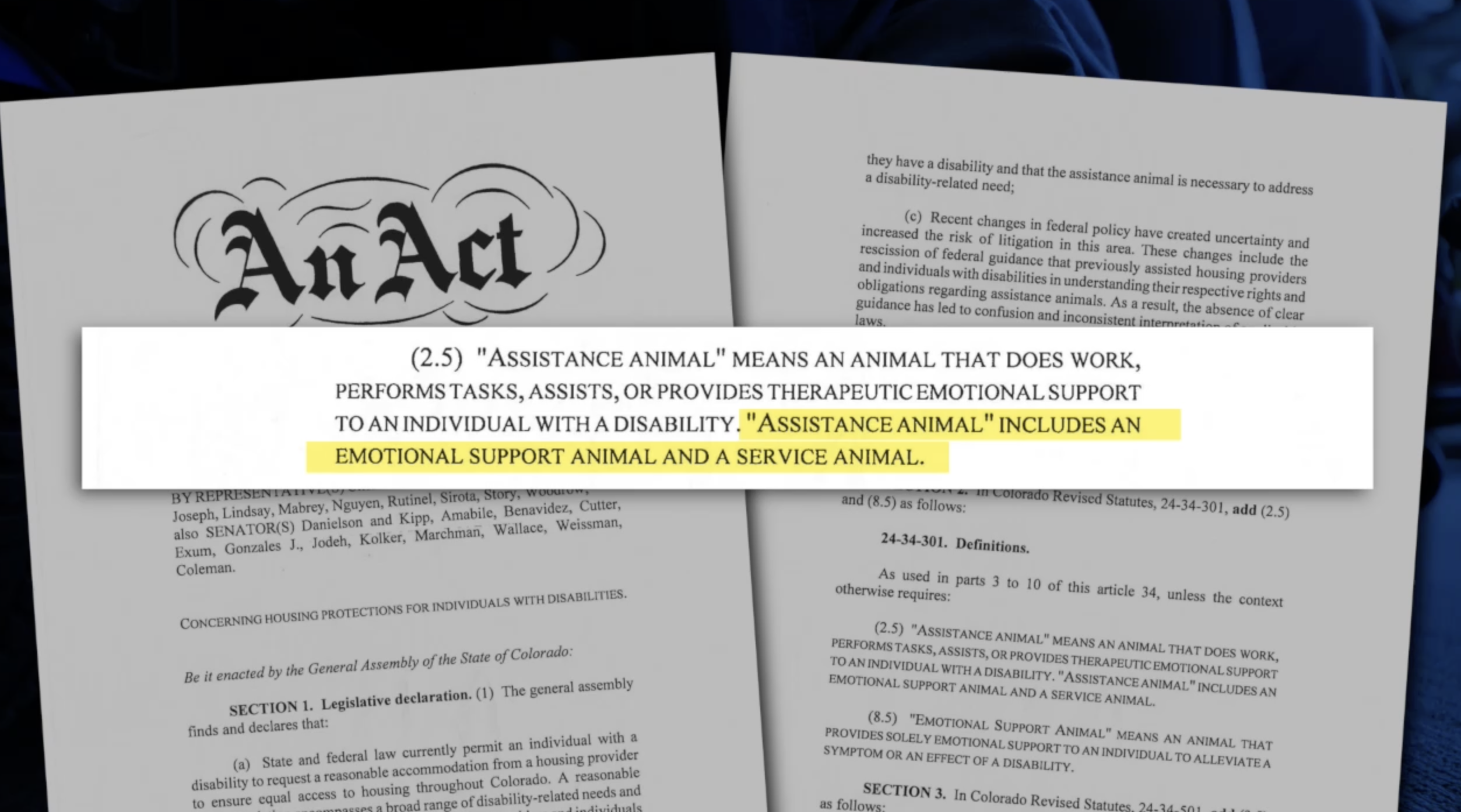 Colorado lawmakers enshrine protections for emotional suppor