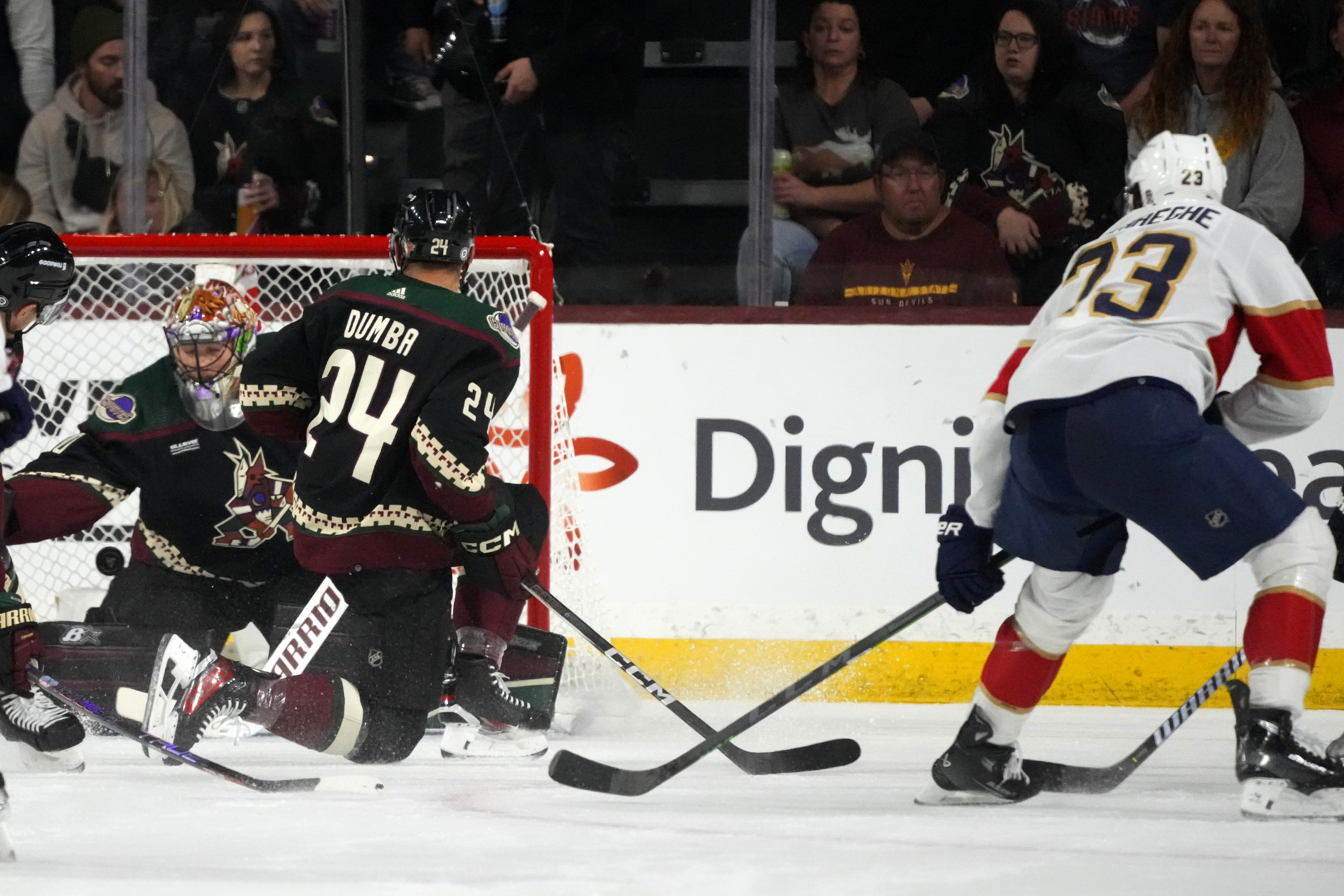 Panthers Coyotes Hockey