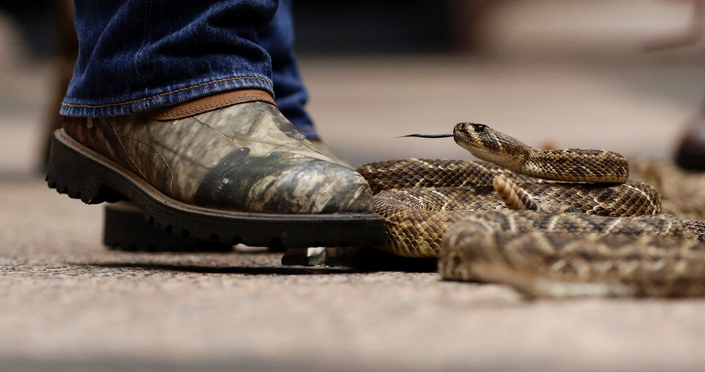 Texas Daily Life