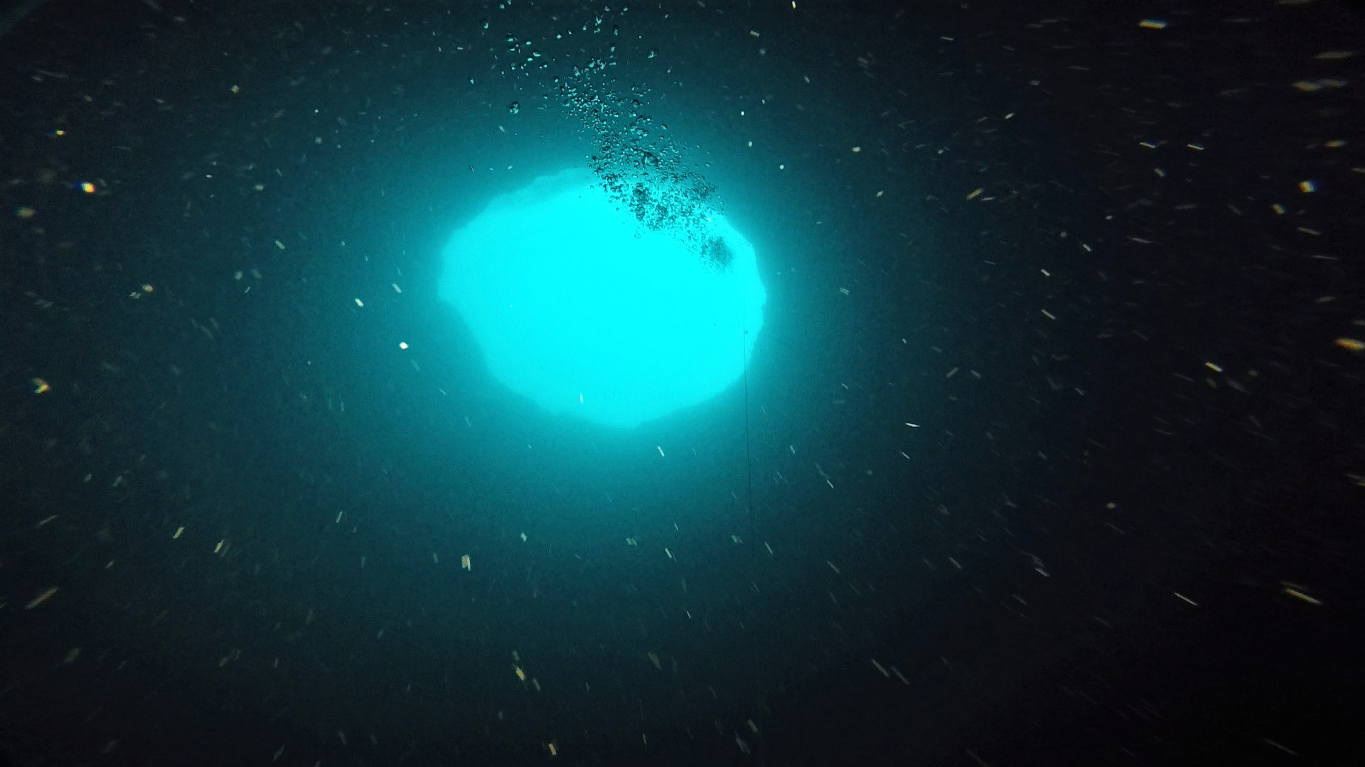 Scientists exploring mysterious 'blue holes' off Florida's Gulf Coast