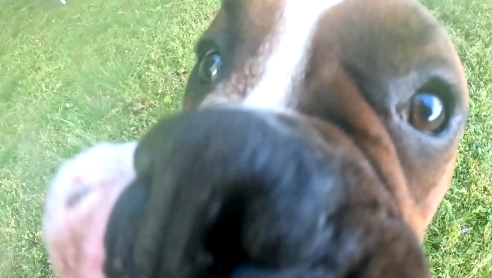 Carl Dean the Boxer