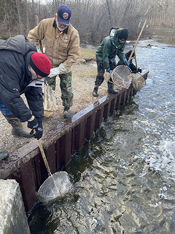 trout-stocking-350_original.jpg