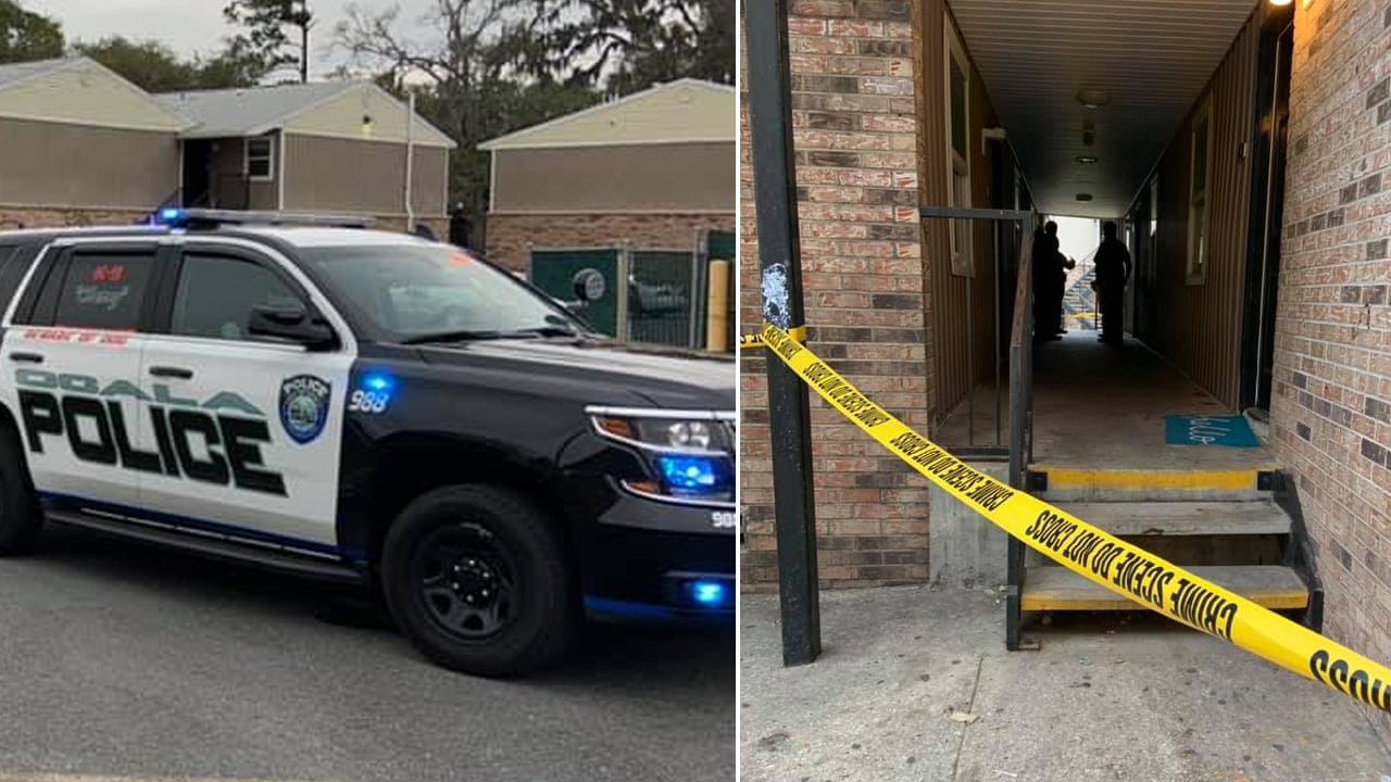wptv-ocala-boy-stabs-sister.jpg