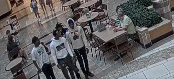 Tampa Mugging suspects