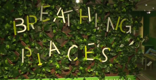 Exploring the history of Richmond's parks