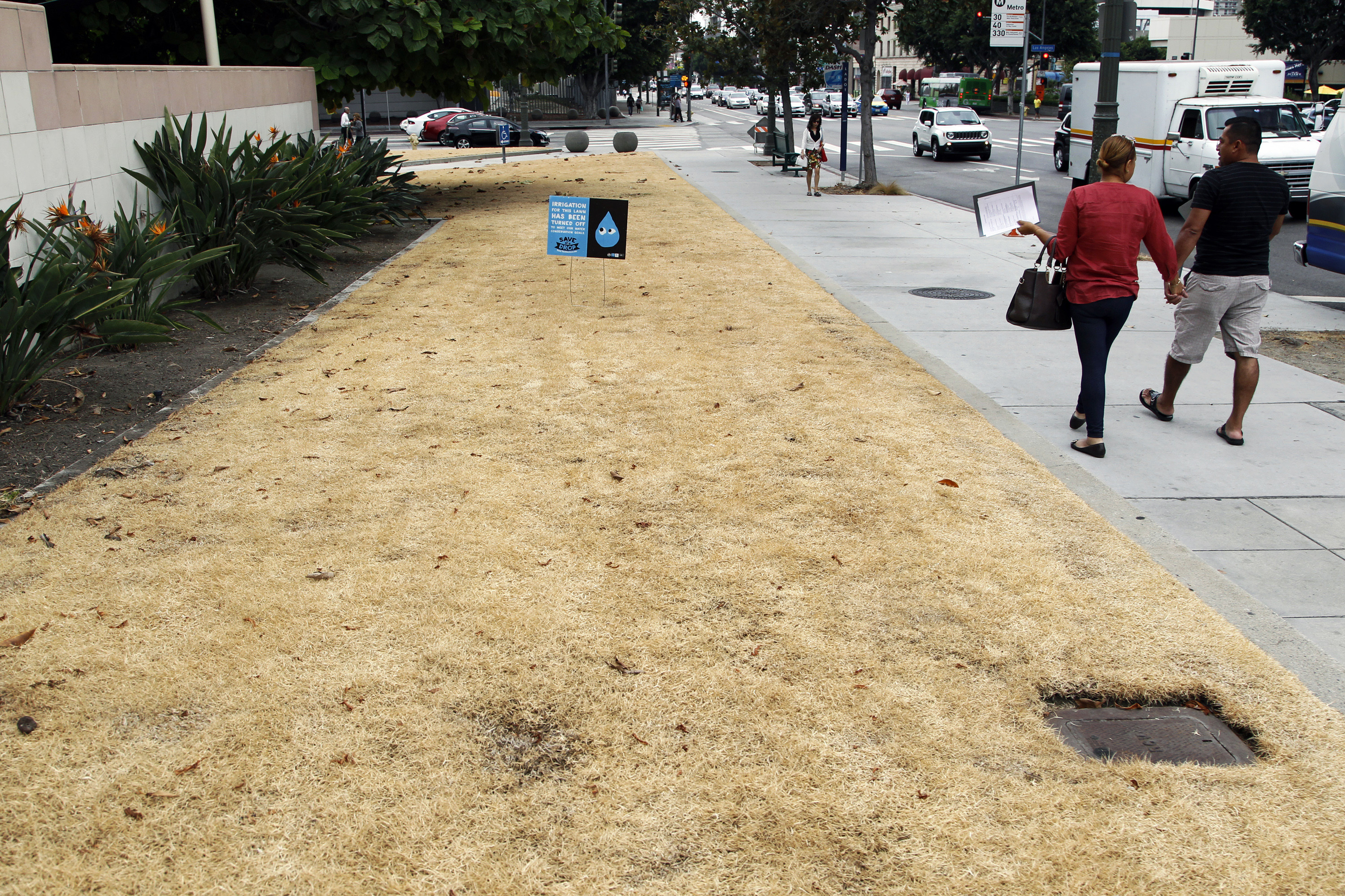 Los Angeles City Hall, drought, lawn watering