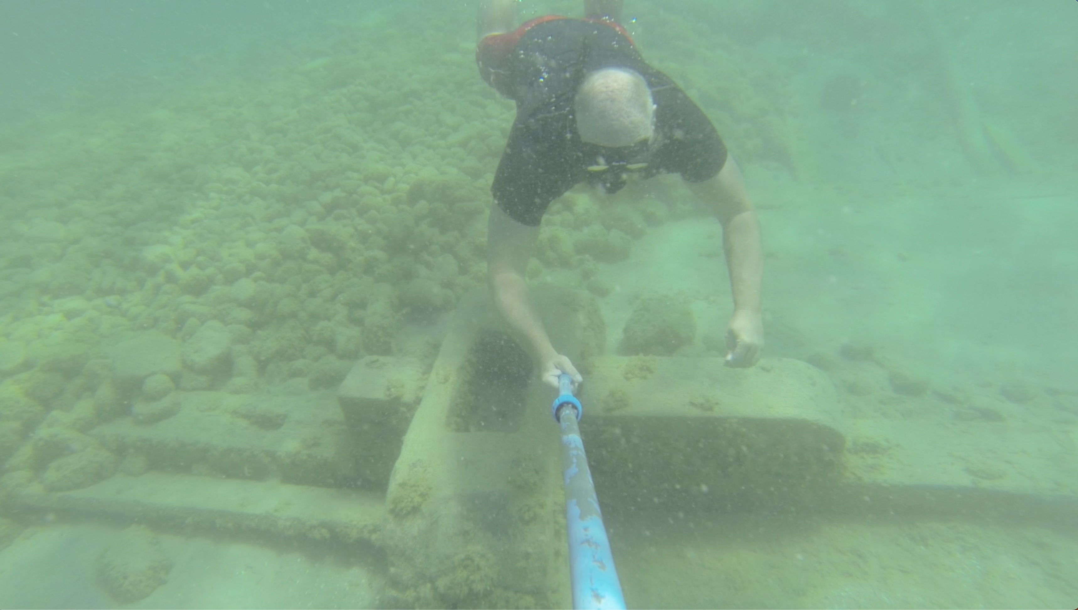 LIve Yankee wreckage 