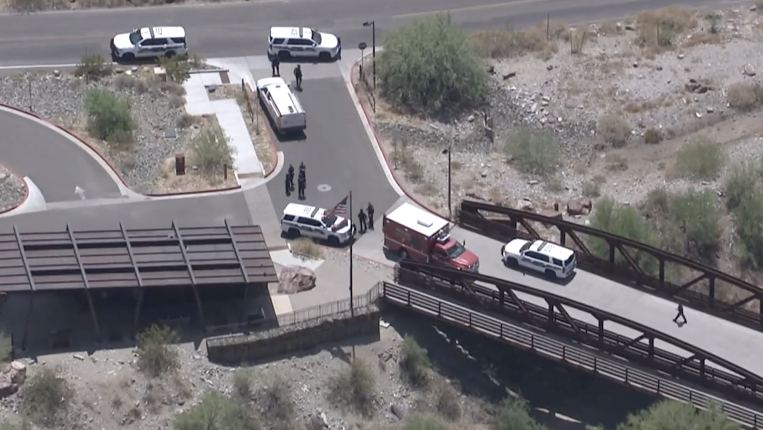 Dog dead at Piestewa Peak