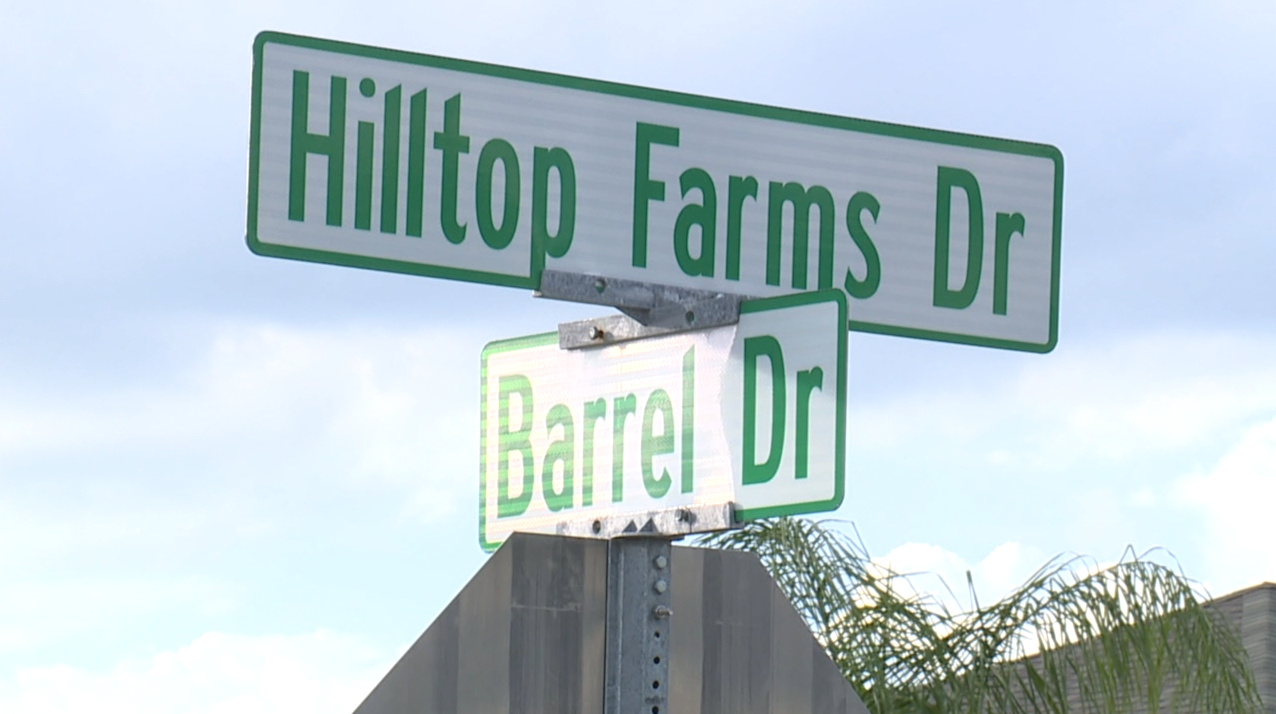 2-year-old hit and killed by car