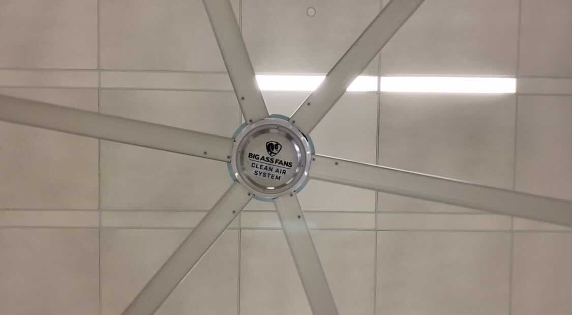 fan.jpg