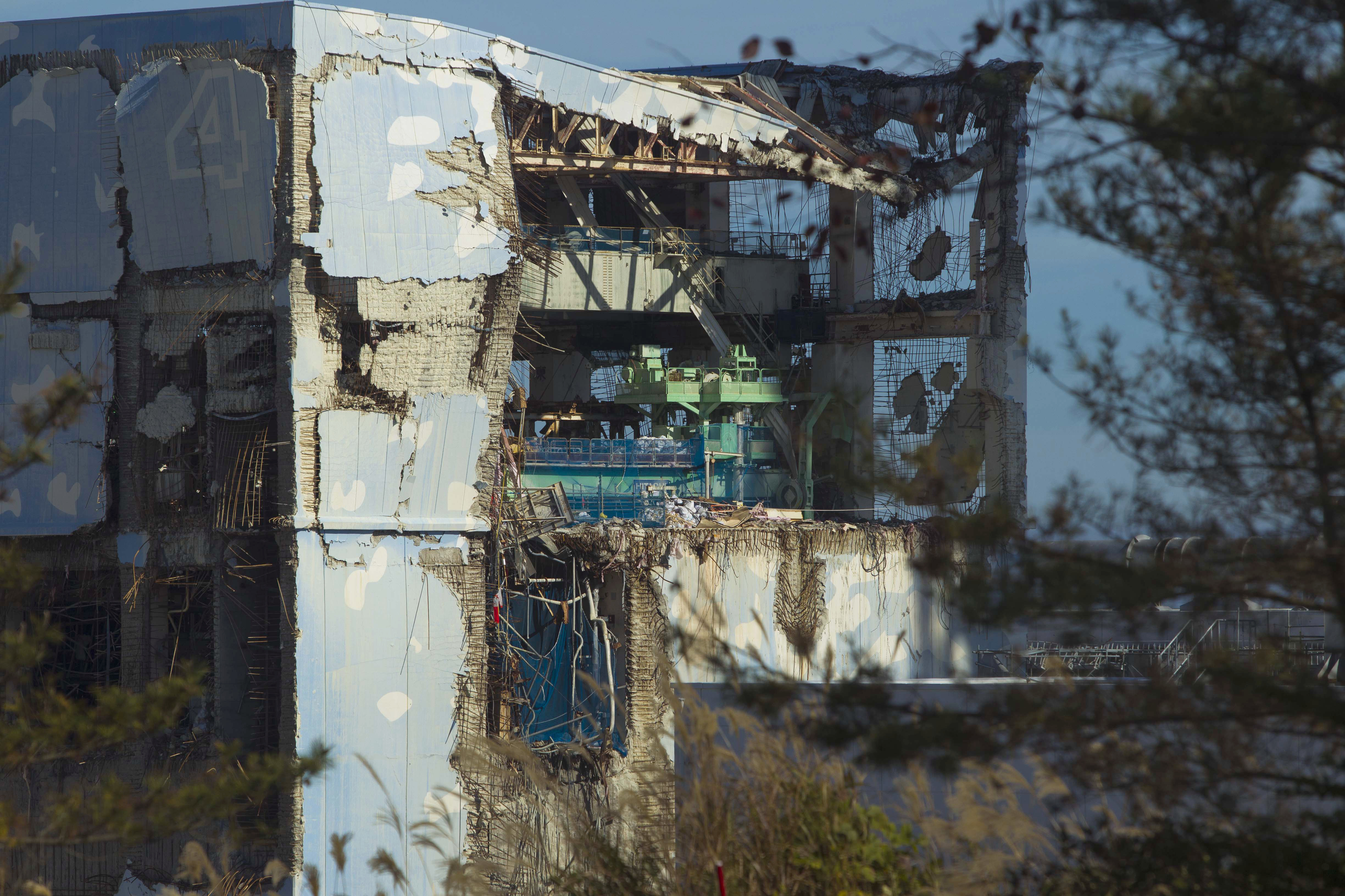 Japan Tsunami Fukushima Plant Explainer