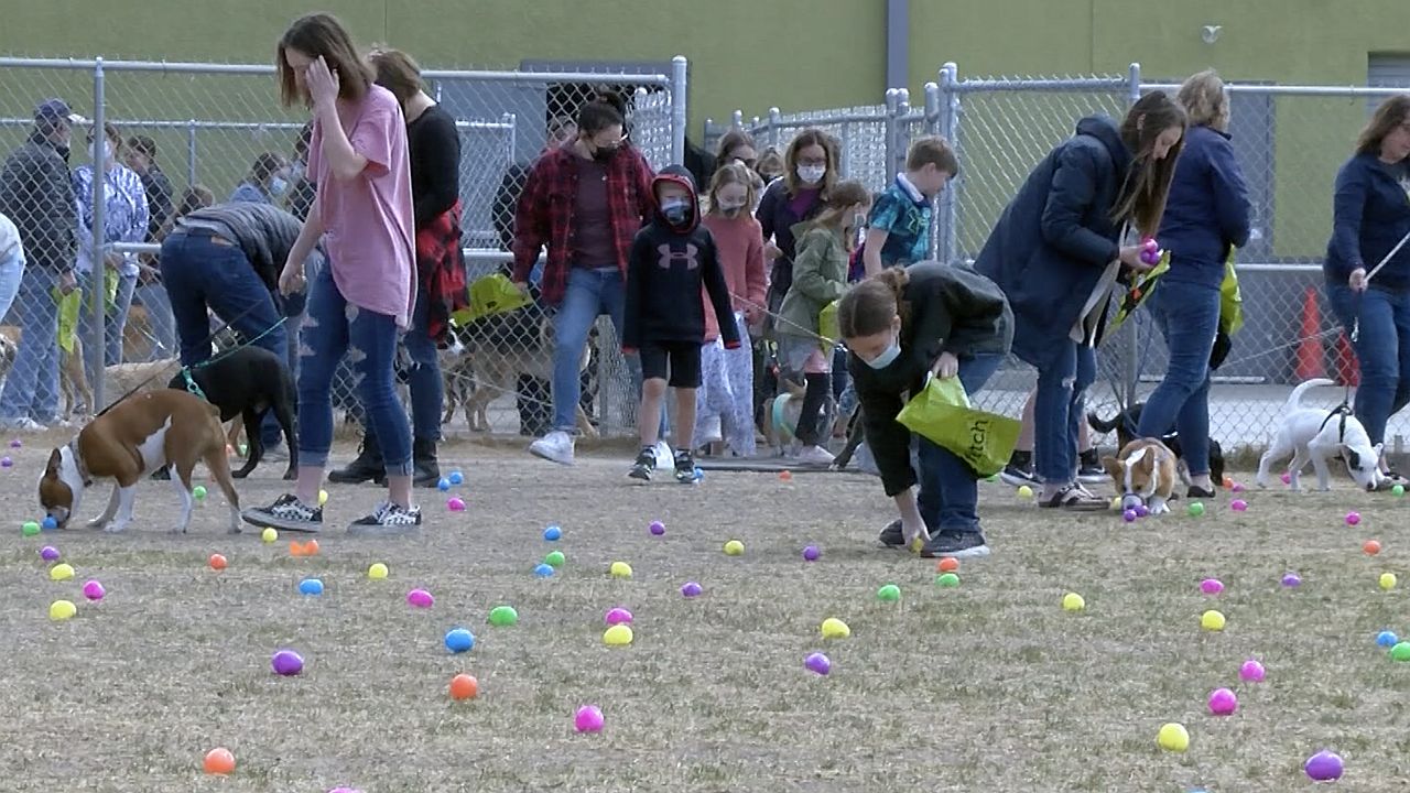 Dogs enjoy "Easter Egg Hunt" at Fetch