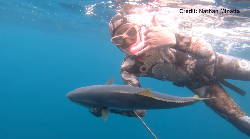 Shark attack survivor returns to the ocean for spearfishing