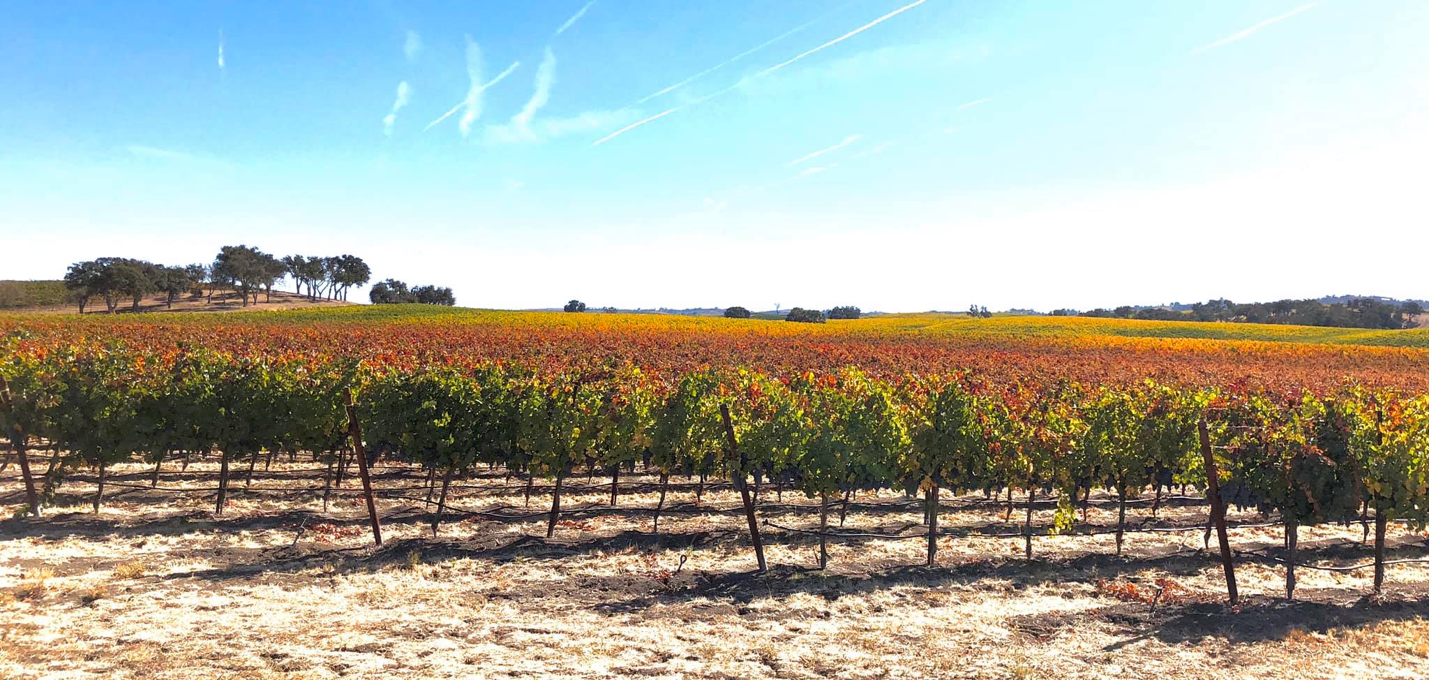 byron hatcher's photo.jpg