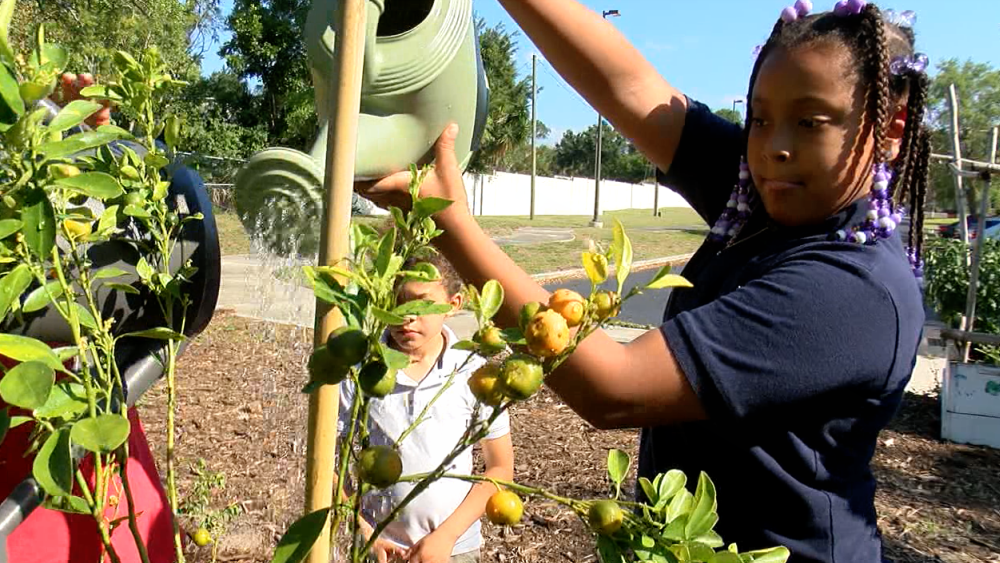 kids growing vegetables in garden