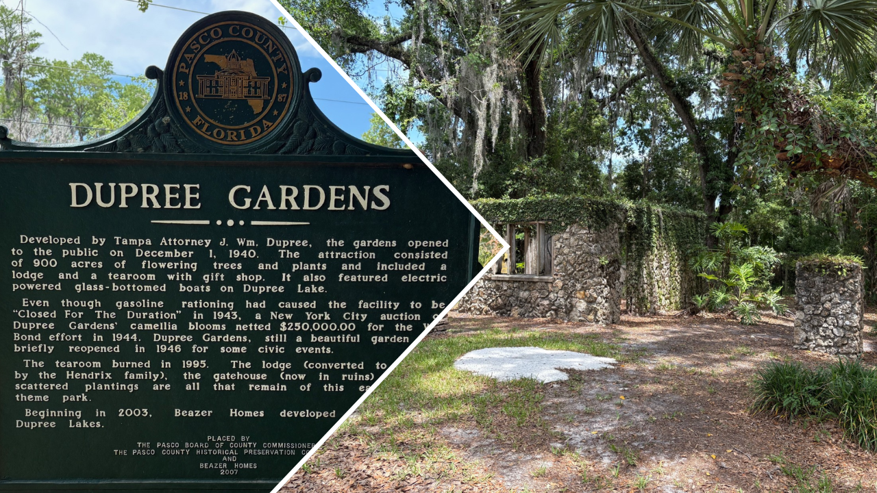dupree gardens.png