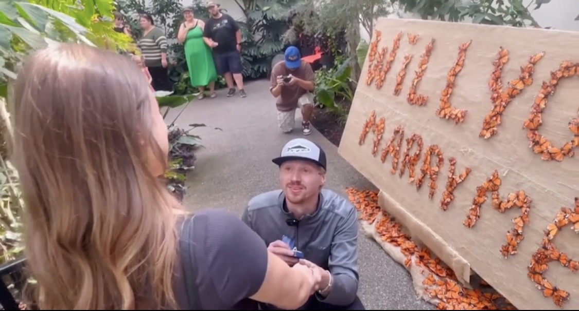 Inside Missoula's Butterfly House and Insectarium