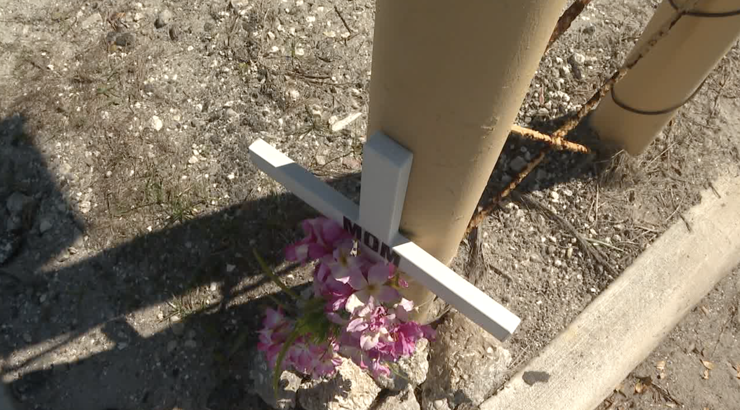 Woman hit in intersection