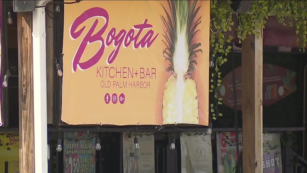 Palm Harbor renovation project