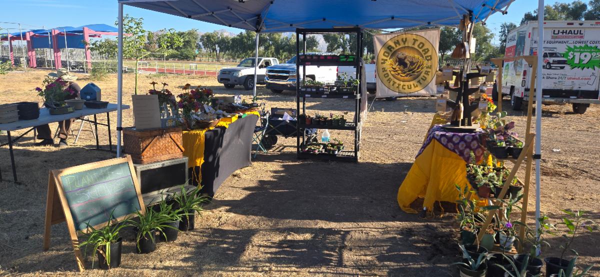 Tucson Organic Gardeners' Spring Plant Fair