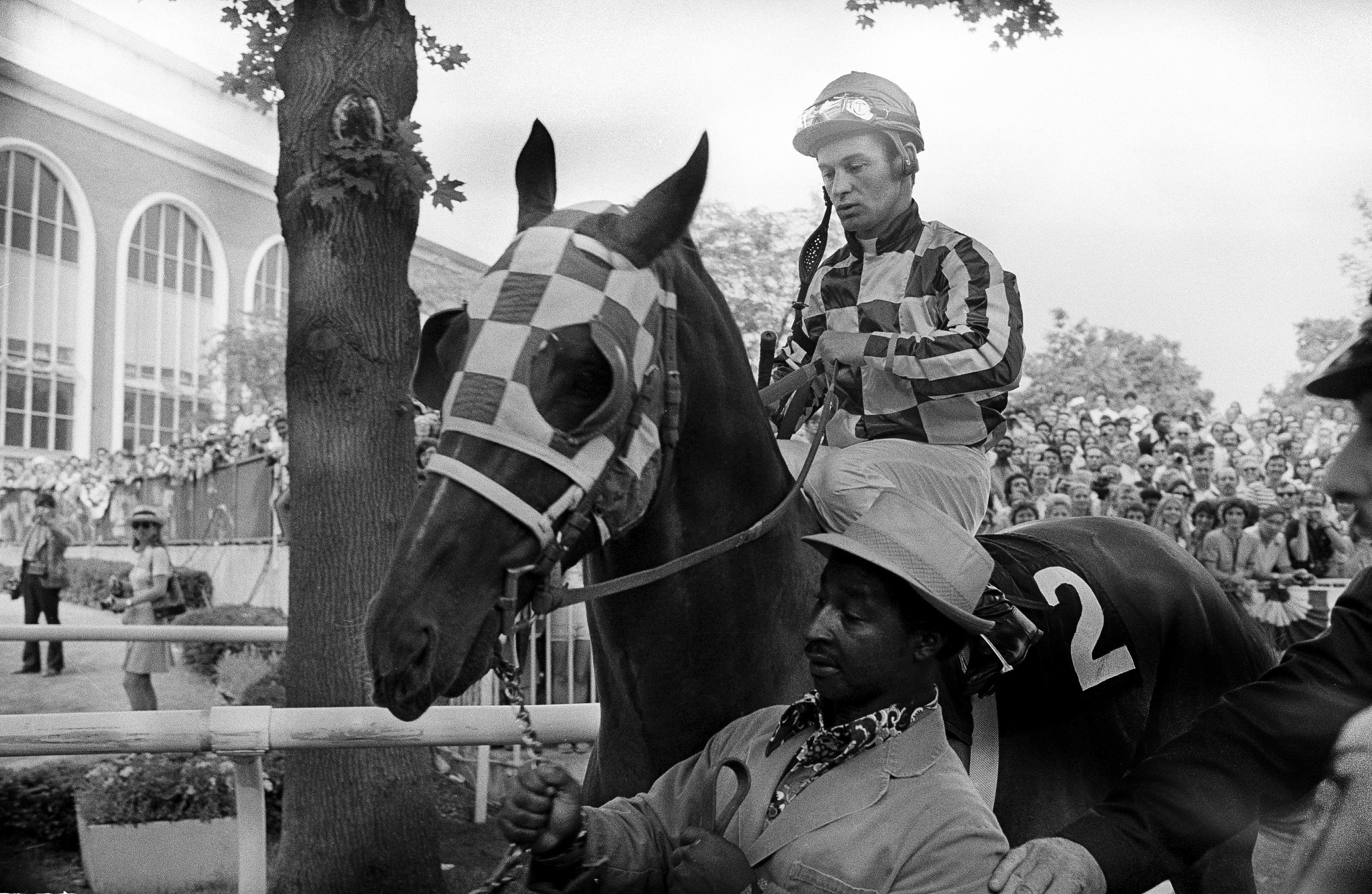 Sport of Kings Horse Racing