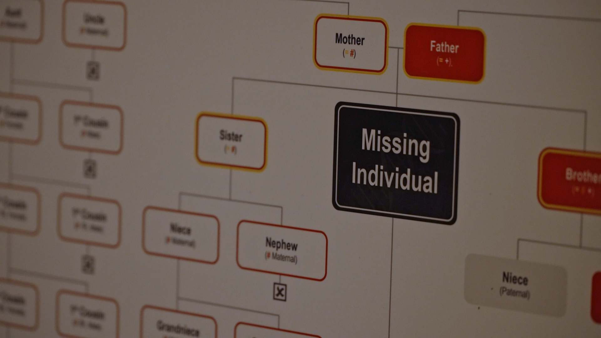 Chart explaining genealogy process