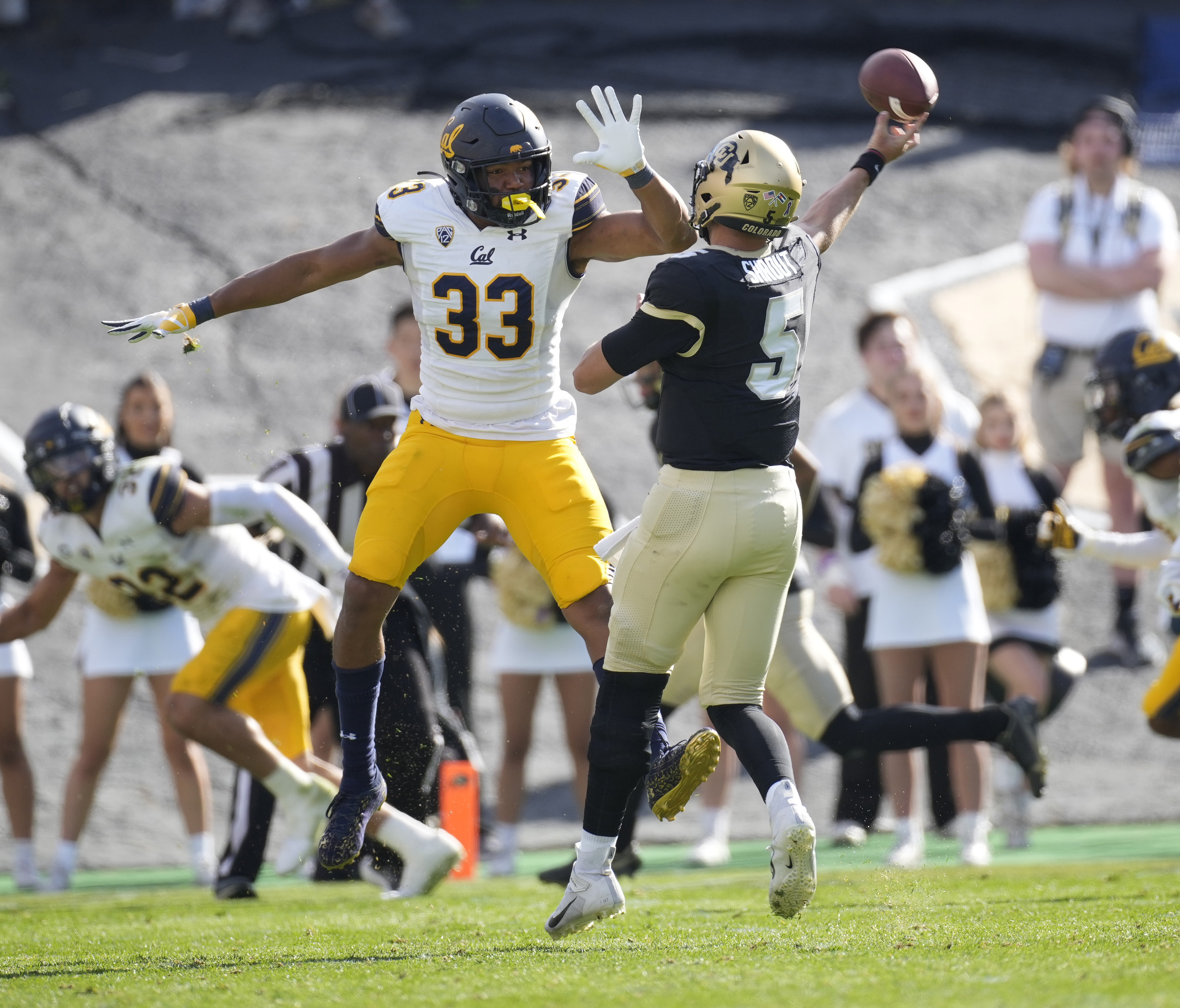 shrout cu buffaloes