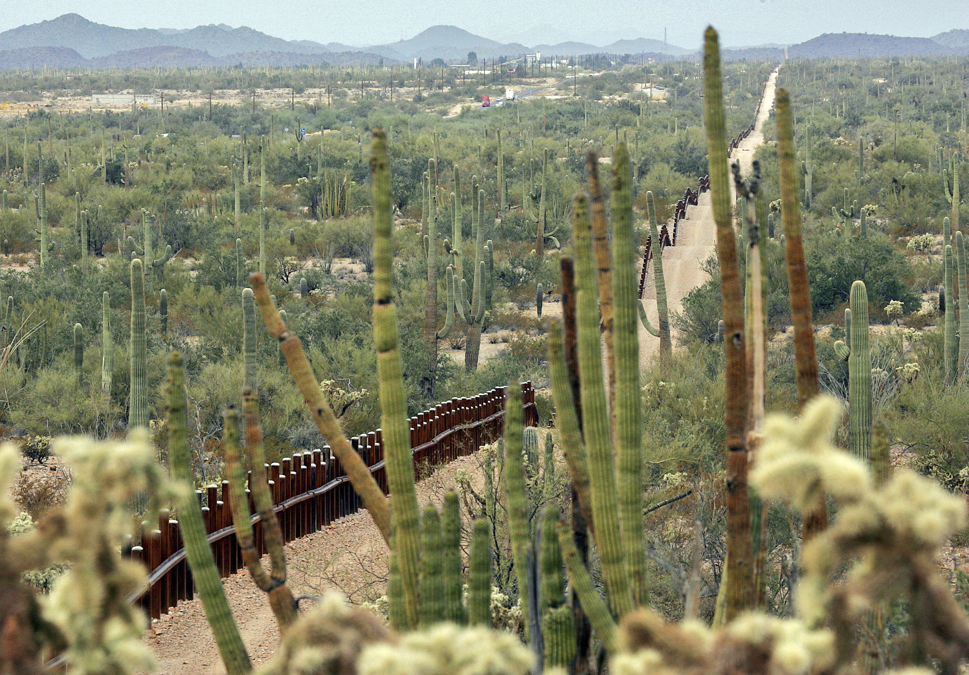 Border Wall Arizona Organ Pipe Cactus AP Photo