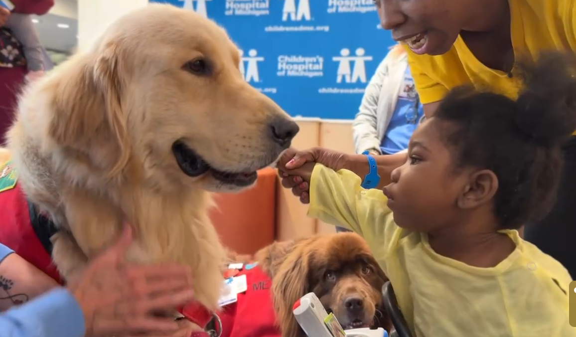 Therapy dog and patient interaction