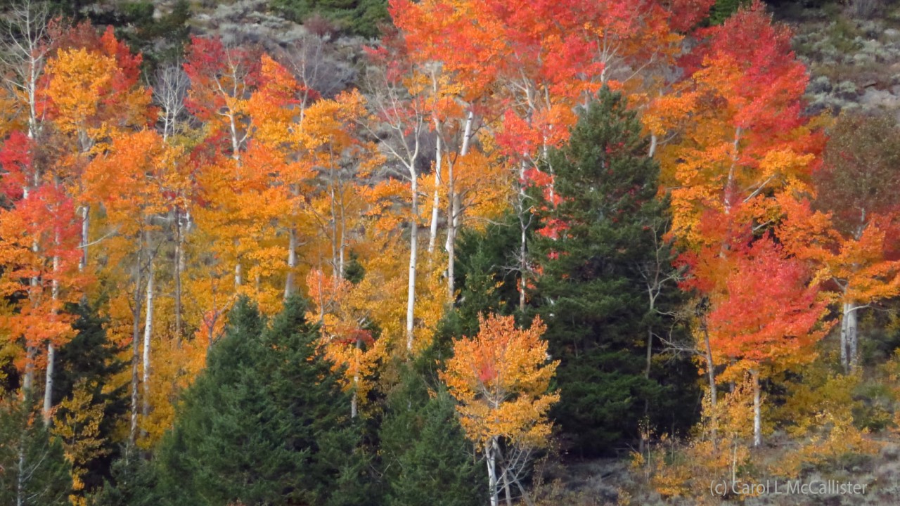 Rocky Mountain National Park