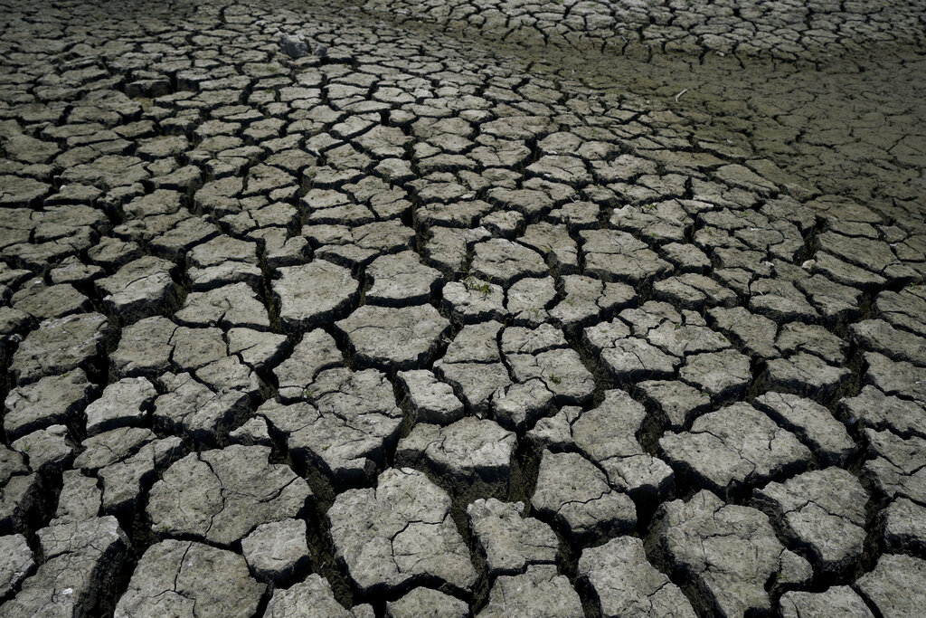 Climate Diseases