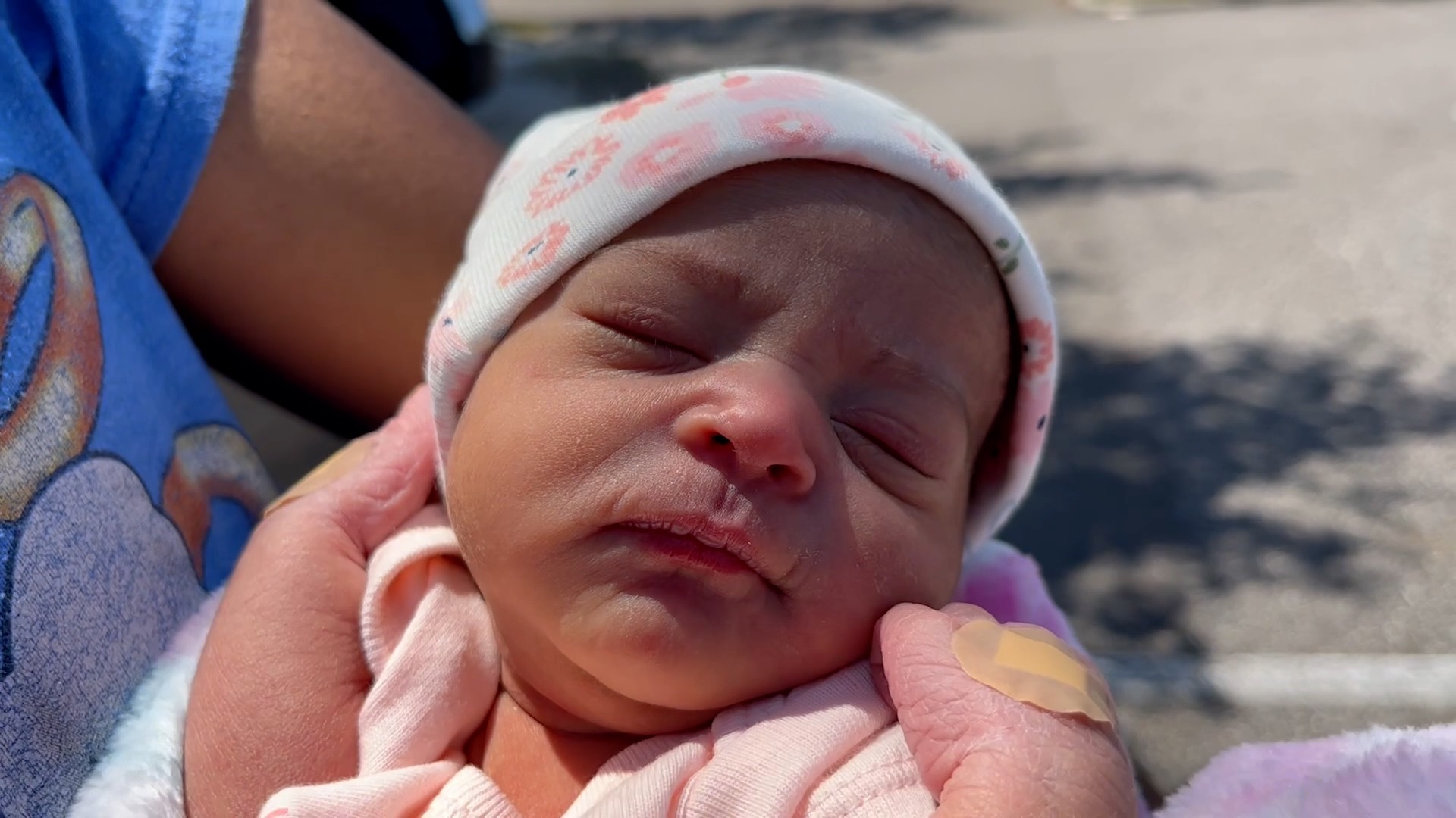 Hillsborough County deputy helps deliver baby on side of the road