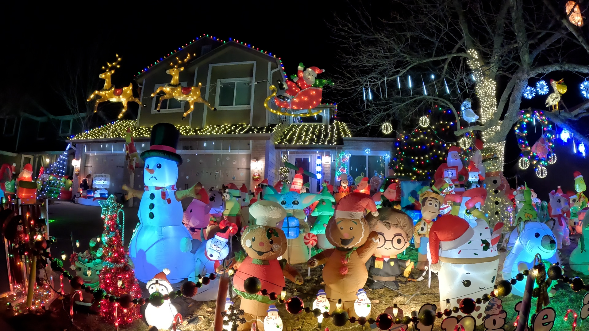 The Baird's Great Inflatable House.jpg