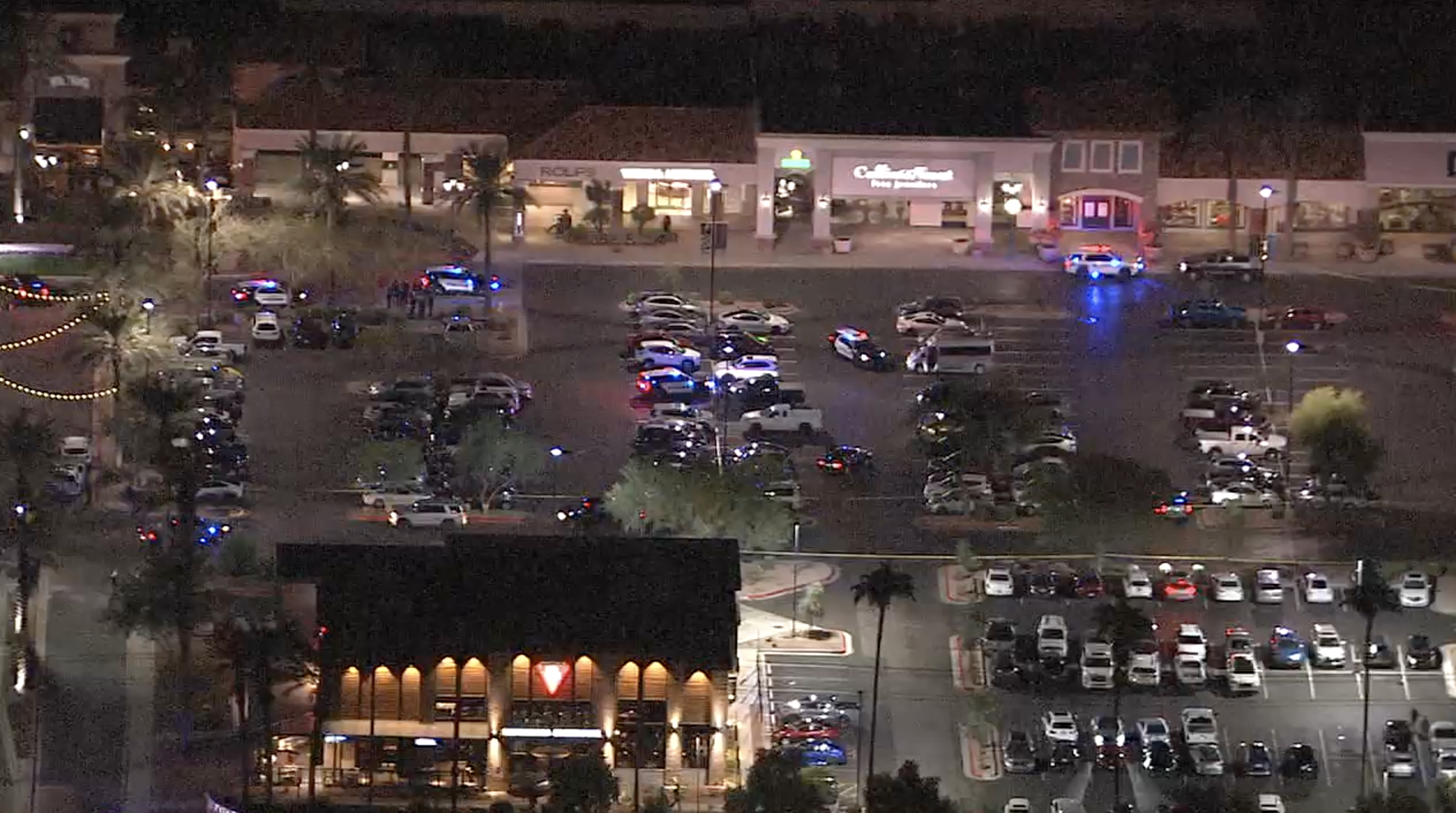 I-10/Ray Chandler shooting 