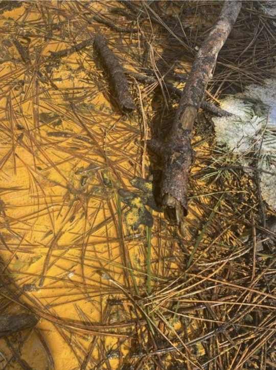 Orange substance in Walker, AZ 3-31-23